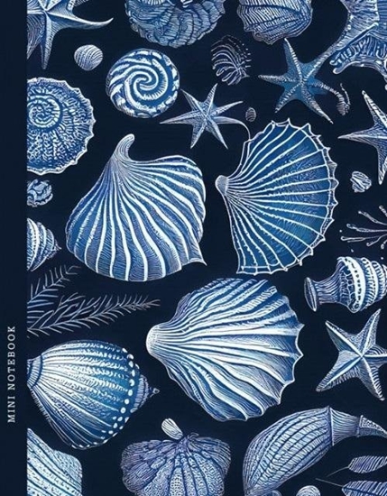 Picture of Notatnik 128x165/64K kratka muszle FRESH