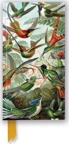 Picture of Notatnik linia TW Kolibry Ernst Haeckel