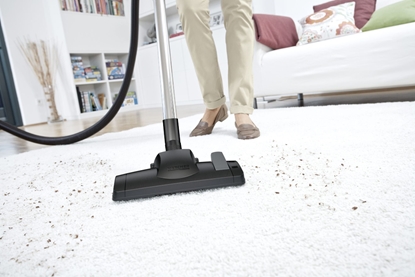 Picture of Odkurzacz Karcher DS 6 (1.195-220.0)
