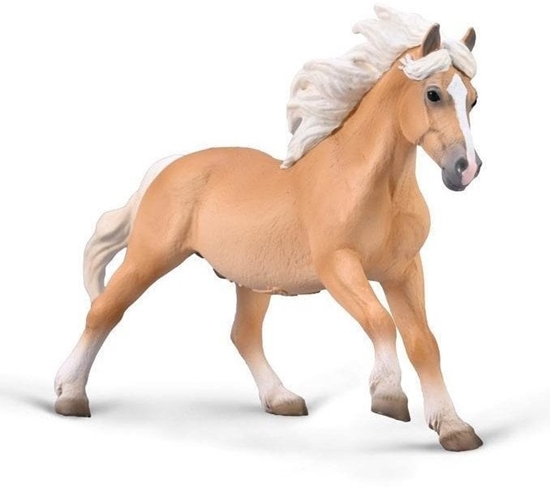 Picture of Ogier Halflinger