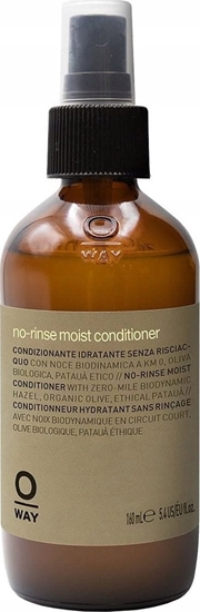 Picture of OWAY_Moisturizing No-Rinse Moist Conditioner odywka w sprayu bez spukiwania 160ml