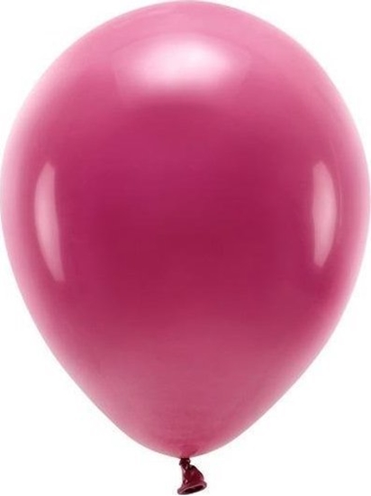 Picture of Party Deco Balony Eco bordowe 30cm 10szt (513545) - 5900779137905