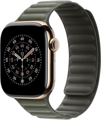 Attēls no Apple 42mm Sage Gray Magnetic Link - S/M | Apple