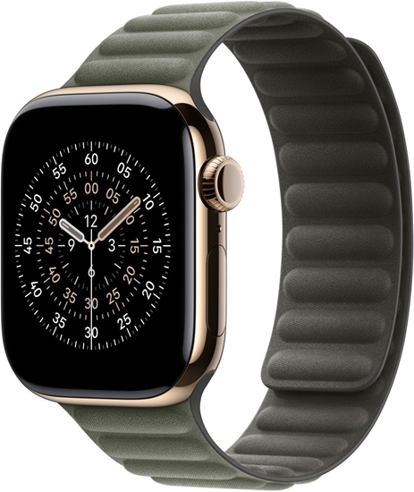 Изображение Apple 42mm Sage Gray Magnetic Link - S/M | Apple