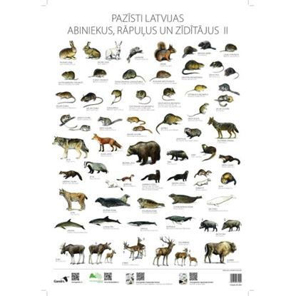 Picture of Pazīsti Latvijas abiniekus, rāpuļus un zīdītājus II