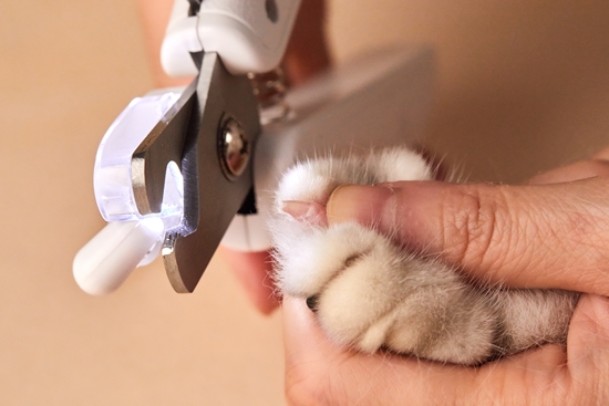 Picture of PETKIT LED Pet Nail Clipper (PK403)