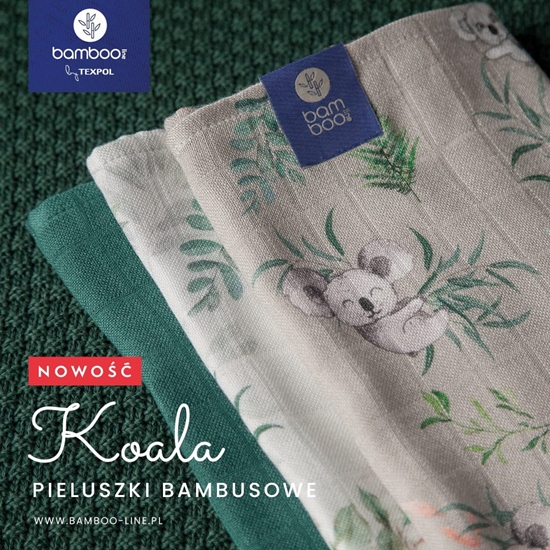 Picture of PIELUSZKA BAMB.65X65 KOALA