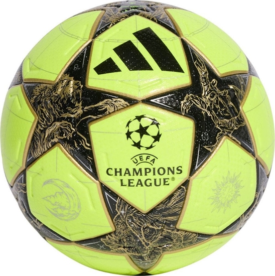 Picture of Pika adidas UCL PRO WTR JP1545