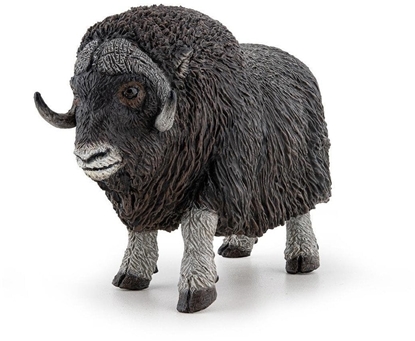 Picture of Pimowó arktyczny