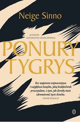 Изображение Ponury tygrys EDUKAMP