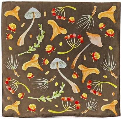 Attēls no Poszewka z nadrukiem dwustronnym. Grzyby EDUKAMP