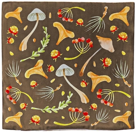 Picture of Poszewka z nadrukiem dwustronnym. Grzyby EDUKAMP