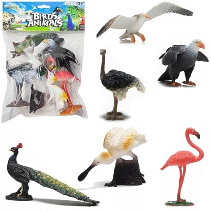 Attēls no Ptaki 6szt