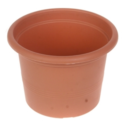 Attēls no Puķu pods Campanula 11cm g.brūns