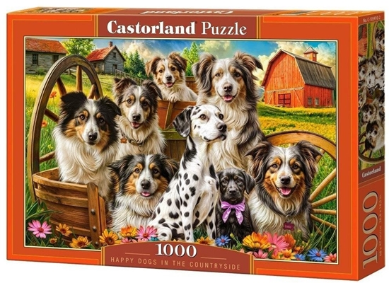 Picture of Puzzle 1000 Happy Dogs In The Countryside CASTOR