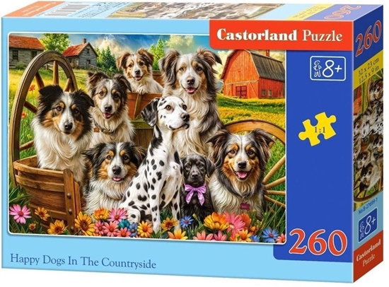 Picture of Puzzle 260 Happy Dogs In The Countryside CASTOR
