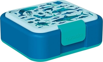 Picture of Quokka Quokka Twist Kids - Pojemnik na ywno z podwójnymi ciankami / lunchbox (Sea Animals)