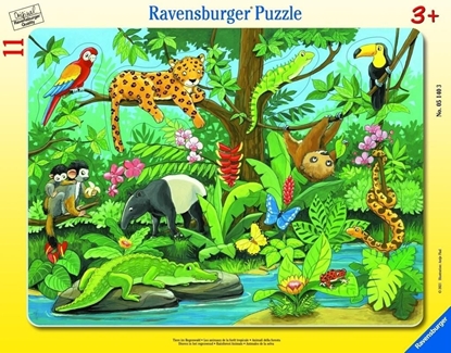 Изображение Ravensburger Puzzle 11 Co tu pasuje? Zwierzta lasu deszczowego