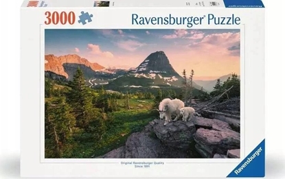 Attēls no Ravensburger Puzzle 3000 Górski krajobraz