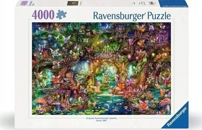 Attēls no Ravensburger Puzzle 4000 Magiczny wiat bani