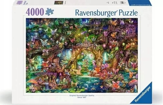 Picture of Ravensburger Puzzle 4000 Magiczny wiat bani