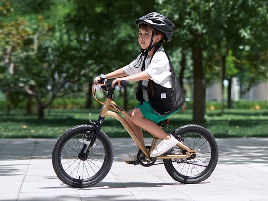 Picture of Royalbaby RoyalBaby Lekki i Doskonay Rower dla Dzieci Gold Kable-Belt 16" RB16-45