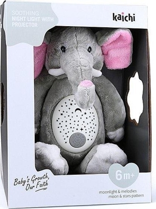 Picture of S?o? pluszowy z projektorem