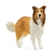 Picture of Schleich Collie
