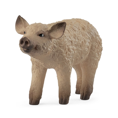 Picture of Schleich Mangalica Piglet