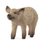 Изображение Schleich Mangalica Piglet