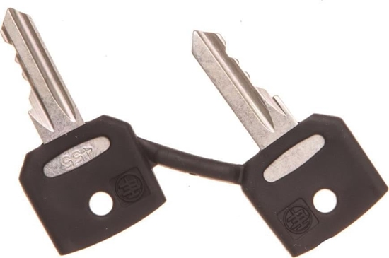 Изображение Schneider Electric Klucz zapasowy 2szt. NR455 ZBG455