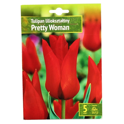 Picture of Sīpolpuķes Tulpes PRETTY WOMAN 11/12 5gab.