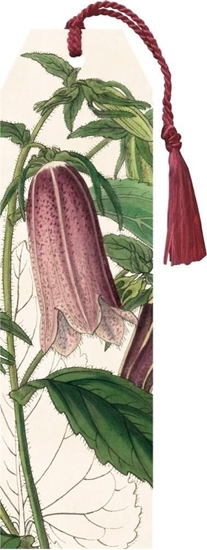 Изображение Skona Ting Zakadka 68 ze wstk Dzwonek plamisty