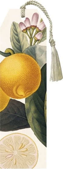 Picture of Skona Ting Zakadka 76 ze wstk Cytryna