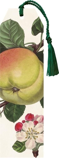 Изображение Skona Ting Zakadka 77 ze wstk Jabo