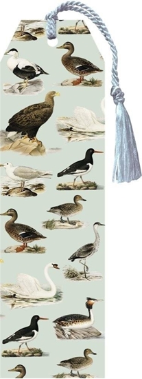 Picture of Skona Ting Zakadka 95 ze wstk Ptaki