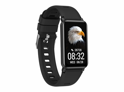Изображение Smartwatch Fit FW53 nitro 2 Czarny