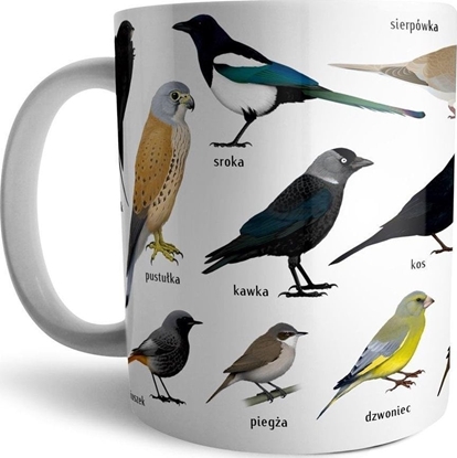 Изображение Soliton Kubek - Ptaki w mie¶cie (miejskie) SOLITON (483883) - 5903684235551