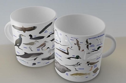 Attēls no Soliton Kubek - Zwierzêta Ba³tyku SOLITON (221864) - 5901571091846