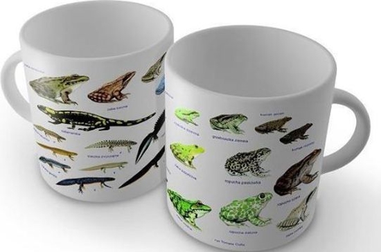 Picture of Soliton Kubek Pazy