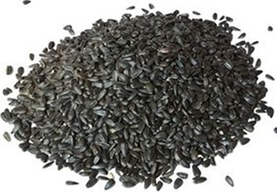 Picture of SONECZNIK 5kg CZARNY