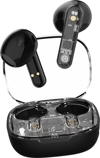 Picture of Suchawki Streetz Ausins  ausis STREETZ, permatomos, juodos / T150-BLK / 6612030