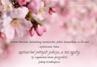 Attēls no Szaron Magnes na lodówk - Jestem Bowiem wiadomy Jabo