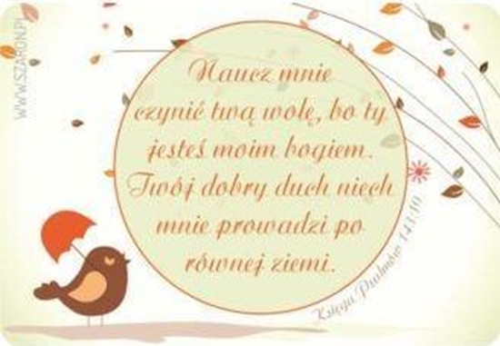 Picture of Szaron Magnes na lodówk - Naucz mnie czyni