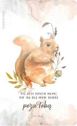 Attēls no Szaron Magnes na lodówk - wiewiórka