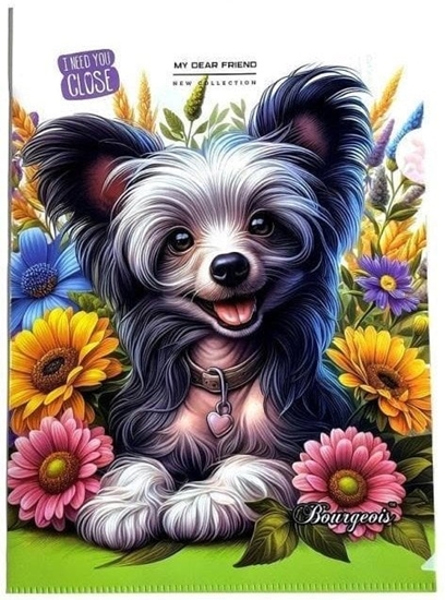 Picture of Teczka A4+ plastikowa koszulka L Piesek