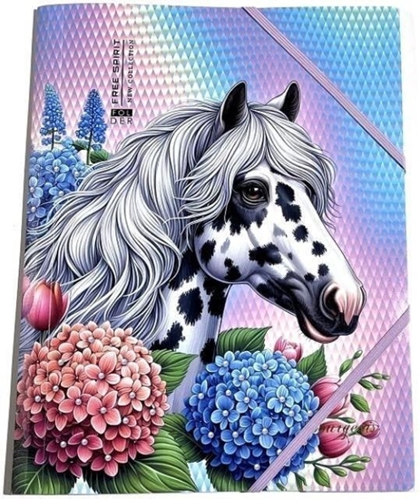 Picture of Teczka A4+ plastikowa z gumk Ko