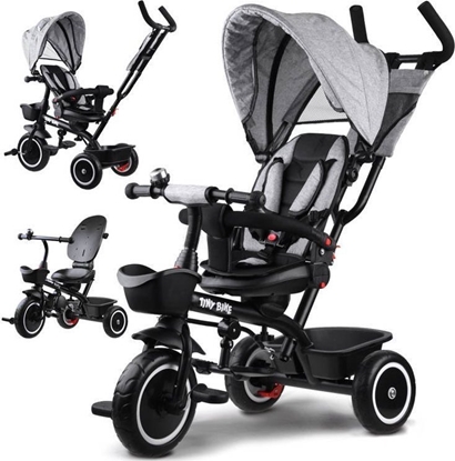Picture of Tiny Bike Rowerek dziecicy trójkoowy 3w1 z daszkiem (SP0650)
