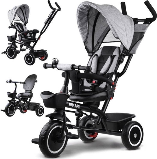 Picture of Tiny Bike Rowerek dziecicy trójkoowy 3w1 z daszkiem (SP0650)