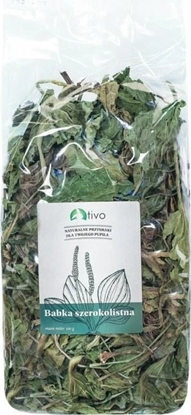 Attēls no Tivo TIVO BABKA SZEROKOLISTNA 100G 6006